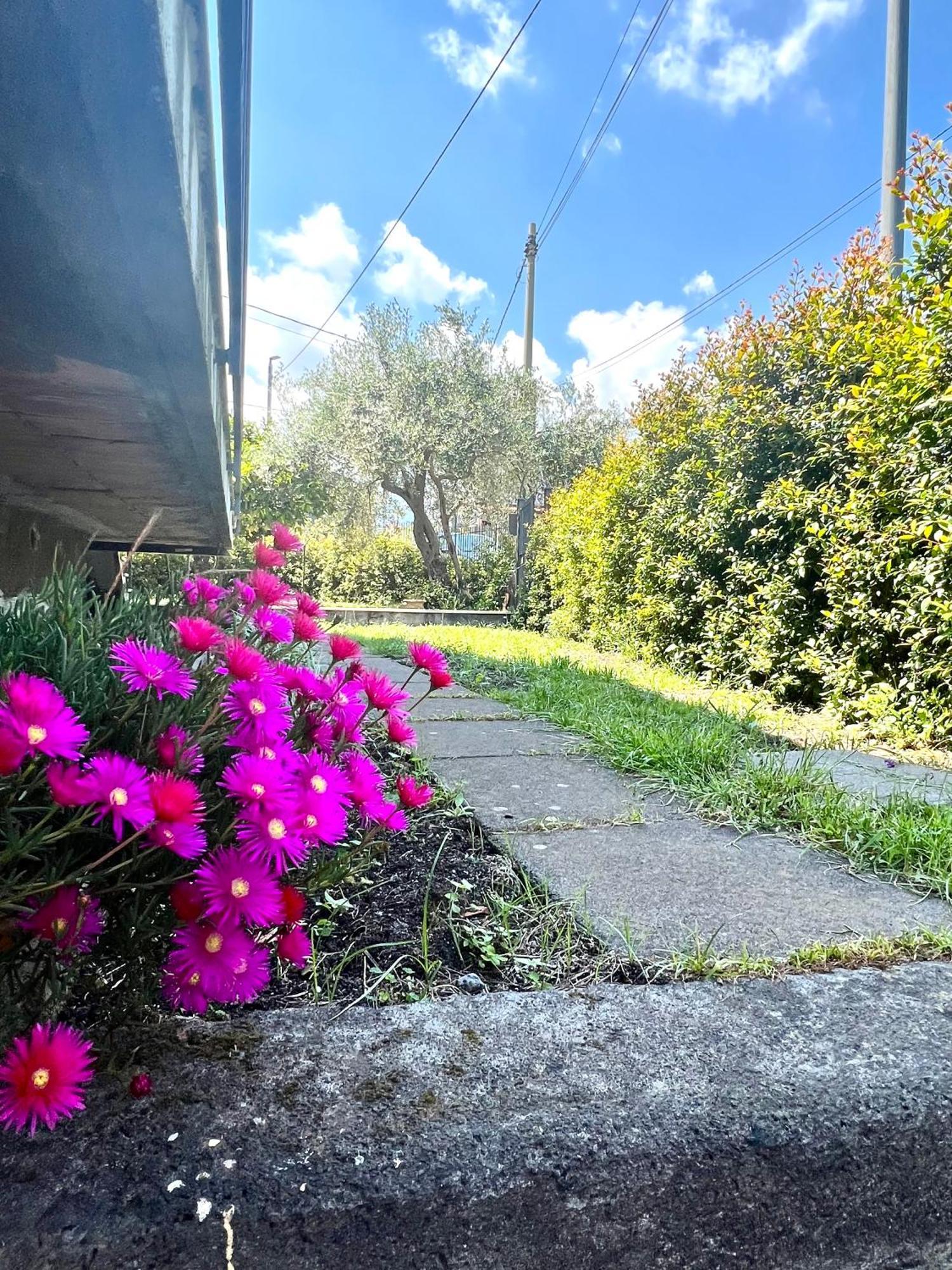 Casa Vacanze "Sautufao" Santa Venerina Exterior foto